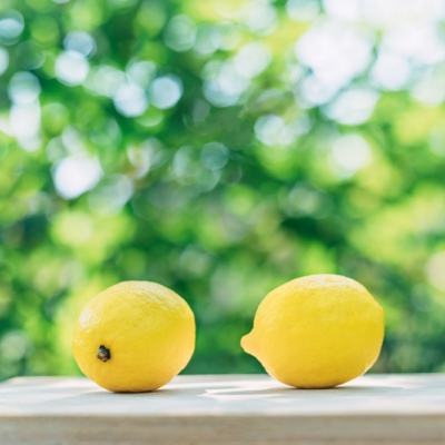剑影江湖破解版下载